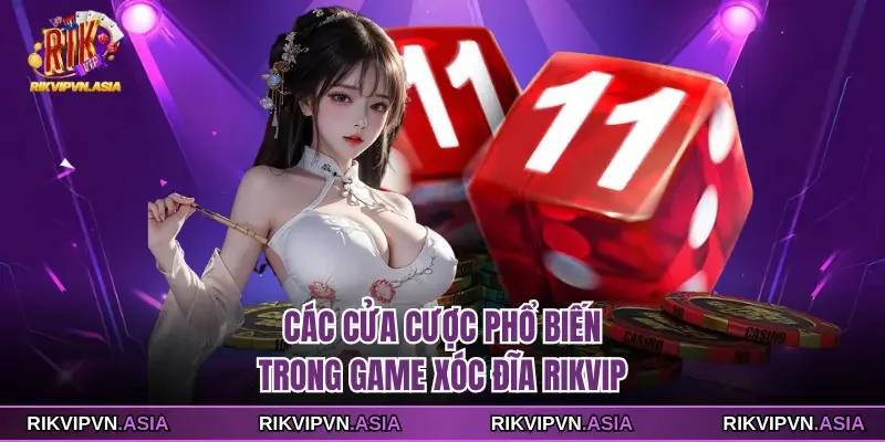 Các cửa cược phổ biến trong game Xóc đĩa Rikvip Các cửa cược phổ biến trong game Xóc đĩa Rikvip