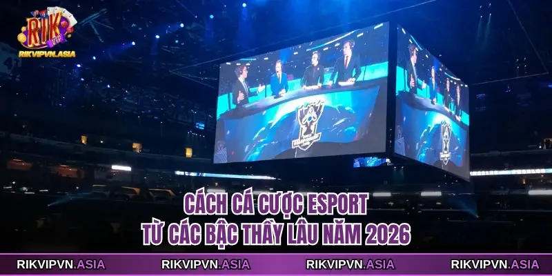 Cách Cá Cược Esport Từ Các Bậc Thầy Lâu Năm 2026 1 Cách cá cược esport